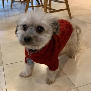 Meet your Posher, Anna